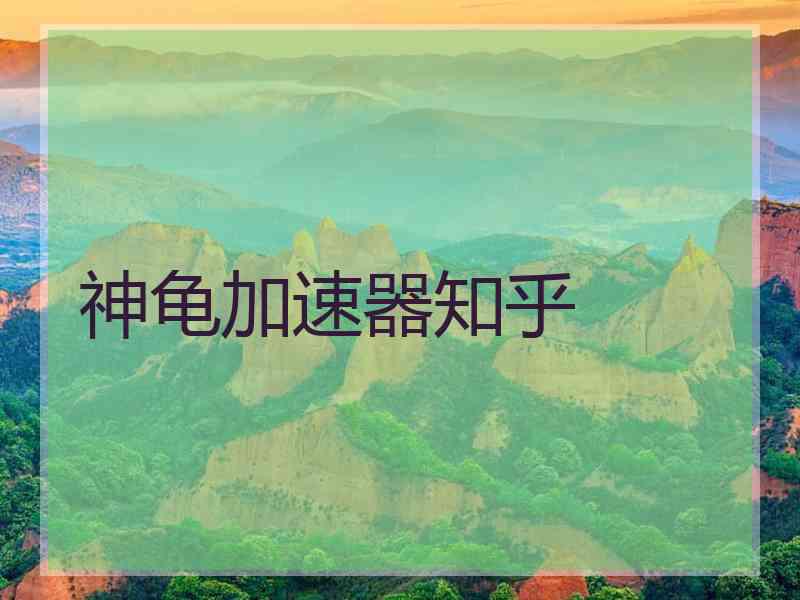 神龟加速器知乎