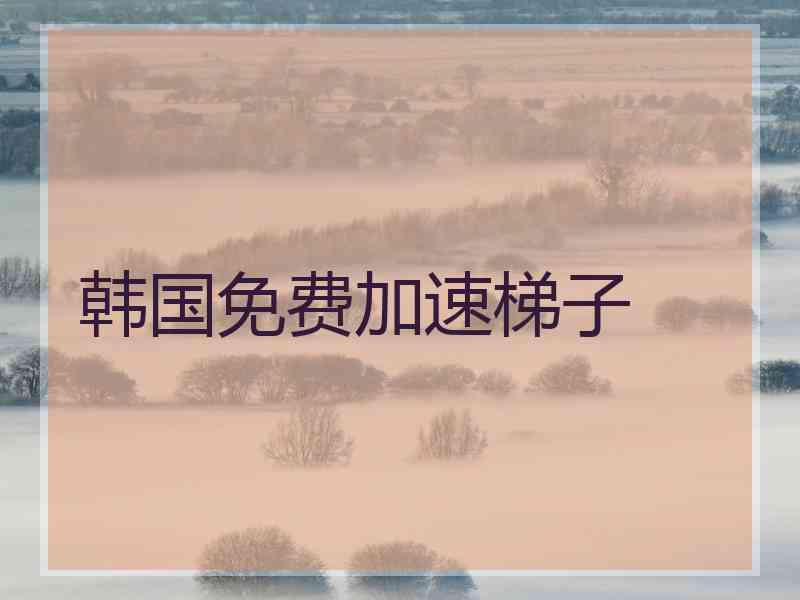 韩国免费加速梯子