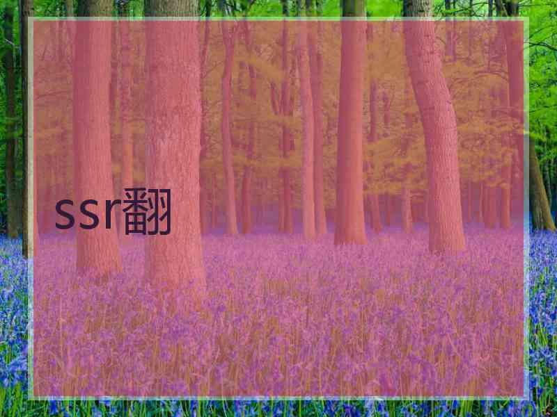 ssr翻