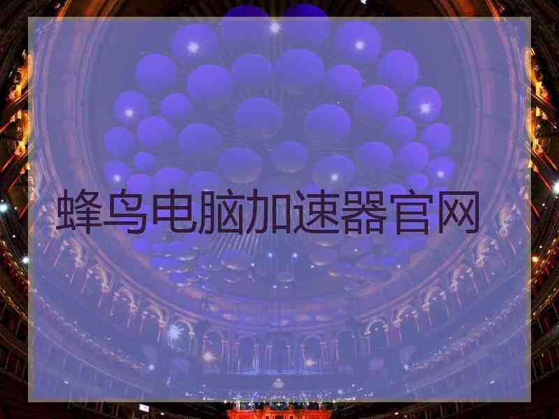 蜂鸟电脑加速器官网