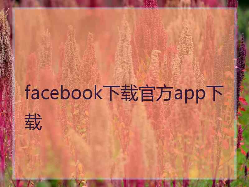 facebook下载官方app下载