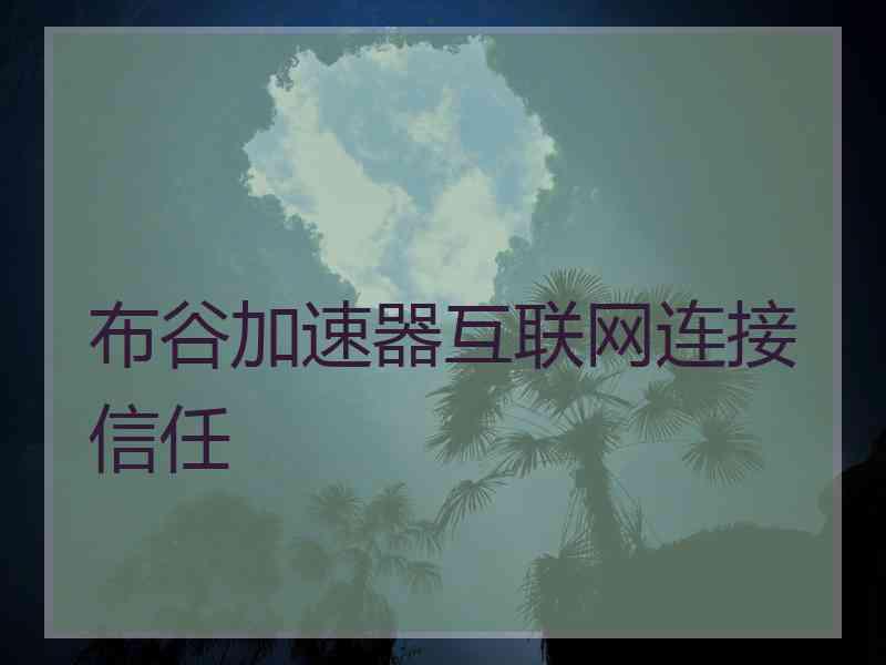 布谷加速器互联网连接信任