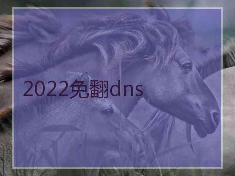2022免翻dns