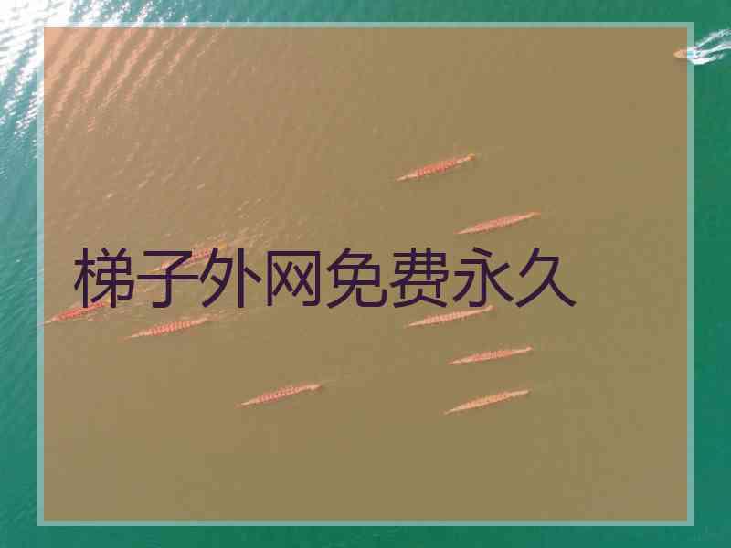 梯子外网免费永久