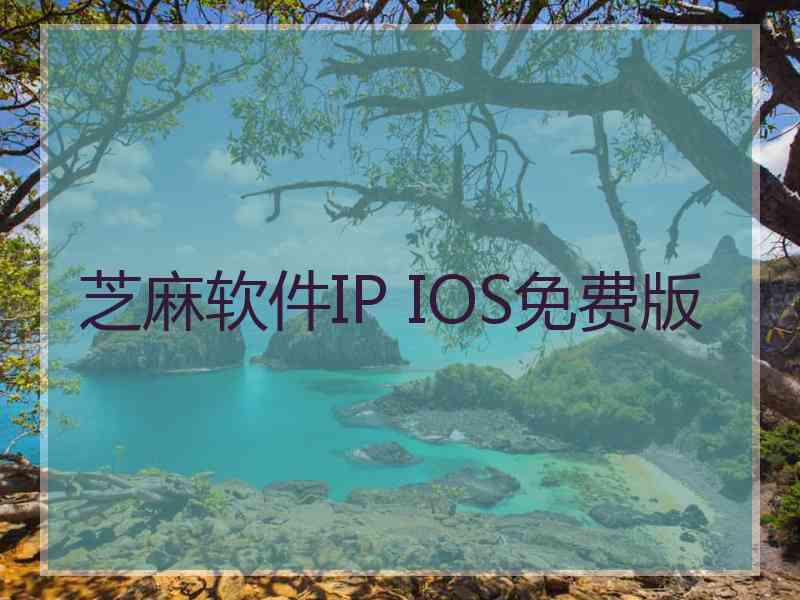 芝麻软件IP IOS免费版