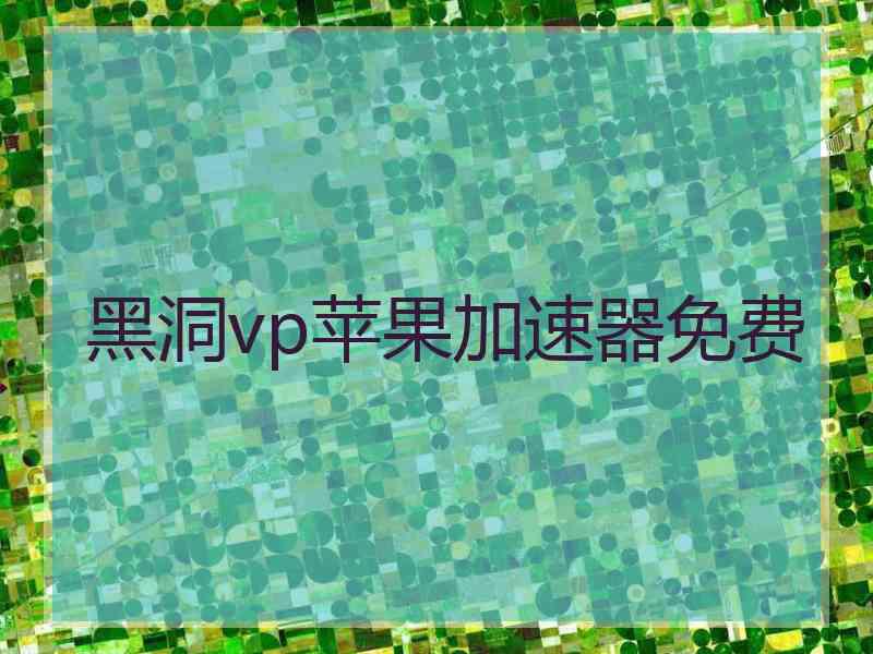 黑洞vp苹果加速器免费