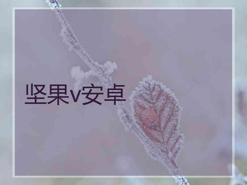 坚果v安卓