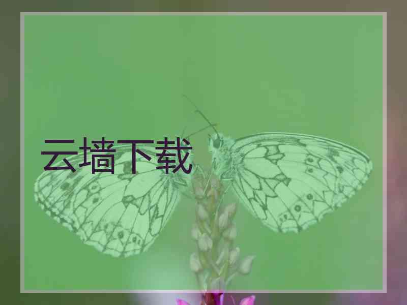 云墙下载