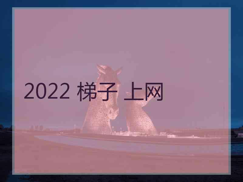 2022 梯子 上网