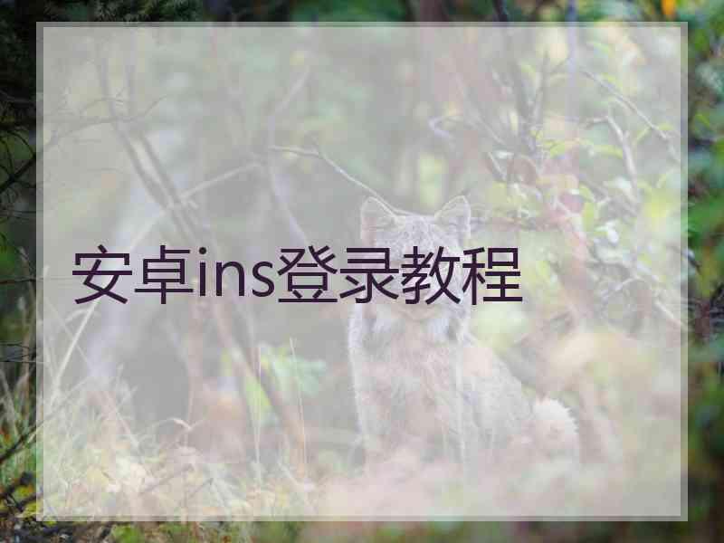 安卓ins登录教程