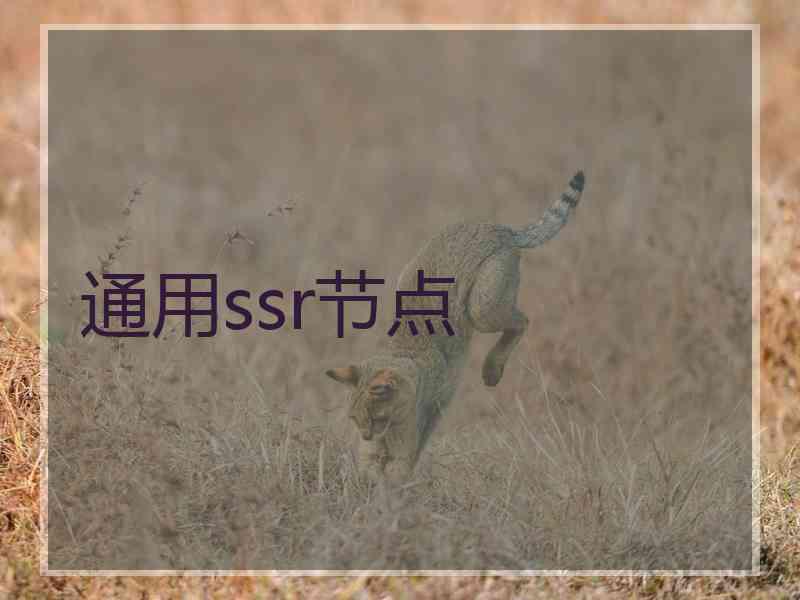 通用ssr节点
