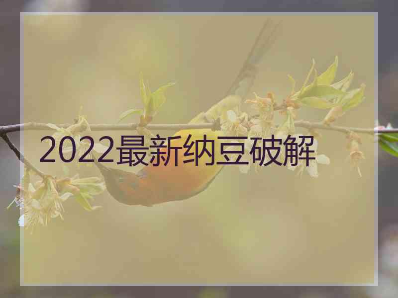 2022最新纳豆破解