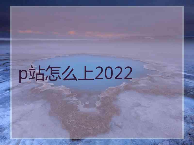 p站怎么上2022