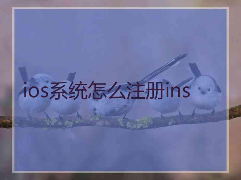 ios系统怎么注册ins