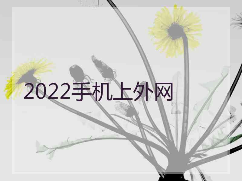 2022手机上外网