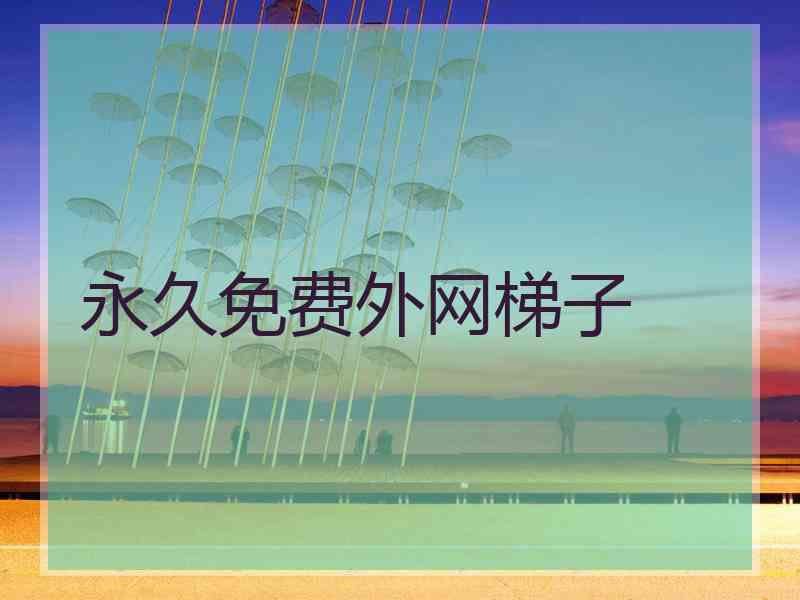 永久免费外网梯子
